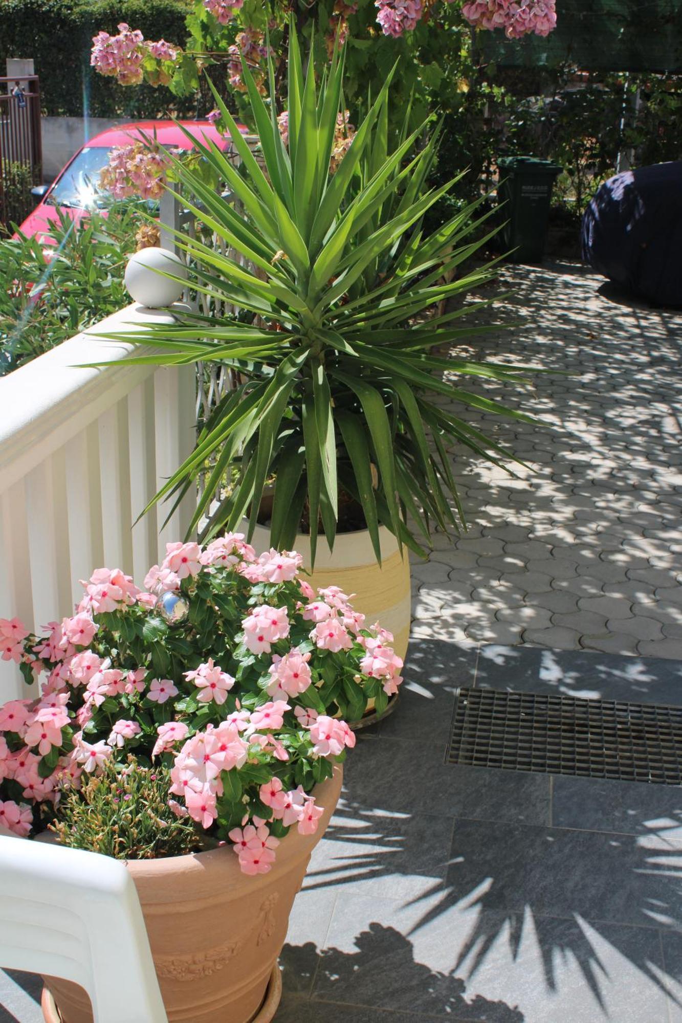 Apartments Villa Macola Trogir Bilik gambar